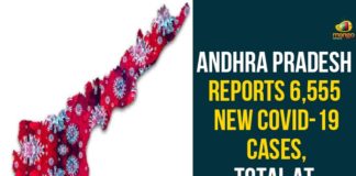 Andhra Pradesh, Andhra Pradesh COVID-19 Daily Bulletin, Andhra Pradesh Department of Health, ap coronavirus cases today, ap coronavirus cases total, ap coronavirus updates district wise, AP COVID 19 Cases, AP Total Positive Cases, COVID-19, COVID-19 Daily Bulletin, Total Corona Cases In AP