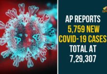 Andhra Pradesh, Andhra Pradesh COVID-19 Daily Bulletin, Andhra Pradesh Department of Health, ap coronavirus cases today, ap coronavirus cases total, ap coronavirus updates district wise, AP COVID 19 Cases, AP Total Positive Cases, COVID-19, COVID-19 Daily Bulletin, Total Corona Cases In AP
