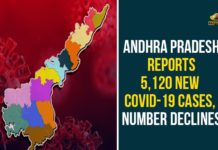 Andhra Pradesh, Andhra Pradesh COVID-19 Daily Bulletin, Andhra Pradesh Department of Health, ap coronavirus cases today, ap coronavirus cases total, ap coronavirus updates district wise, AP COVID 19 Cases, AP Total Positive Cases, COVID-19, COVID-19 Daily Bulletin, Total Corona Cases In AP