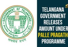 Telangana Government Releases Amount Under Palle Pragathi Programme