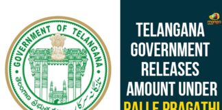 Telangana Government Releases Amount Under Palle Pragathi Programme