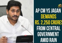 AP CM YS Jagan, Ap Cm Ys Jagan Latest News, AP CM YS Jagan News, AP Heavy Rains, CM YS Jagan Letter to Home Minister Amit Shah, CM YS Jagan Wrote a Letter to Home Minister Amit Shah, CM YS Jagan Wrote a Letter to Home Minister Amit Shah Over Heavy Rains, Heavy Rains In Andhra Pradesh, Heavy Rains In AP, Home Minister Amit Shah