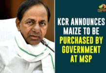 CM KCR, CM KCR Announces Govt will Purchase Maize Crop, CM KCR Review on Purchase of Rainy Season Crops, Maize Crop Rs 1850 per Quintal, Purchase of Rainy Season Crops In Telangana, Rainy Season Crops, Telangana Agricultural News, telangana agriculture budget, Telangana Agriculture News, Telangana CM KCR