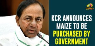 CM KCR, CM KCR Announces Govt will Purchase Maize Crop, CM KCR Review on Purchase of Rainy Season Crops, Maize Crop Rs 1850 per Quintal, Purchase of Rainy Season Crops In Telangana, Rainy Season Crops, Telangana Agricultural News, telangana agriculture budget, Telangana Agriculture News, Telangana CM KCR