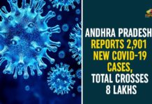 Andhra Pradesh, Andhra Pradesh COVID-19 Daily Bulletin, Andhra Pradesh Department of Health, ap coronavirus cases today, ap coronavirus cases total, ap coronavirus updates district wise, AP COVID 19 Cases, AP Total Positive Cases, COVID-19, COVID-19 Daily Bulletin, Total Corona Cases In AP