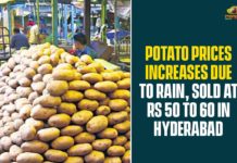 Potato price gains in India, Potato price gains in India due to rains, Potato Prices, Potato Prices Increases, Potato Prices Increases Due To Rain, Potato Prices Increases In Hyderabad, Potato prices India rising, Potato prices jump by 25%, Potato wholesale prices firm up