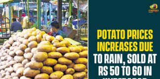 Potato price gains in India, Potato price gains in India due to rains, Potato Prices, Potato Prices Increases, Potato Prices Increases Due To Rain, Potato Prices Increases In Hyderabad, Potato prices India rising, Potato prices jump by 25%, Potato wholesale prices firm up