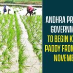 Andhra Pradesh Government To Begin Kharif Paddy From 20th November Andhra Pradesh Government To Begin Kharif Paddy From 20th November