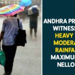 andhra pradesh rain forecast, Andhra Pradesh Rainfall, Andhra Pradesh Rainfall News, Andhra Pradesh Rainfall Updates, Andhra Pradesh Rains, Andhra Pradesh Rains Latest News, Andhra Pradesh Rains News, andhra pradesh weather report, Andhra Pradesh Witnesses Heavy To Moderate Rainfall, Mango News, Maximum Rains In Nellore