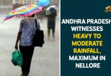 andhra pradesh rain forecast, Andhra Pradesh Rainfall, Andhra Pradesh Rainfall News, Andhra Pradesh Rainfall Updates, Andhra Pradesh Rains, Andhra Pradesh Rains Latest News, Andhra Pradesh Rains News, andhra pradesh weather report, Andhra Pradesh Witnesses Heavy To Moderate Rainfall, Mango News, Maximum Rains In Nellore
