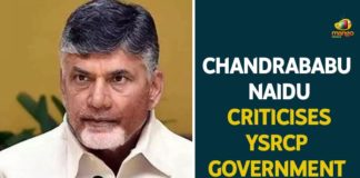 chandrababu naidu, Chandrababu Naidu Criticises YSRCP Government, Mango News, Naidu demands CBI probeinto Nandyal suicide case, Nandyal mass suicide case, Nandyal Mass Suicides, Nandyal Suicide Case, Nandyal suicide case News, Nandyal suicide case updates, ys jagan mohan reddy, YSRCP, YSRCP Government Over Nandyal Suicide Case