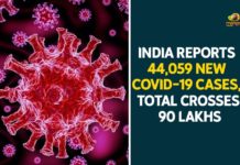 Coronavirus Cases, coronavirus cases in india state wise, coronavirus cases in india today state wise, coronavirus cases india, coronavirus india, India Coronavirus, India Covid-19 Updates, New Confirmed Corona Cases, total corona cases in india today, total corona positive in india
