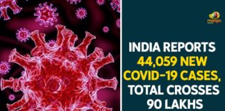 Coronavirus Cases, coronavirus cases in india state wise, coronavirus cases in india today state wise, coronavirus cases india, coronavirus india, India Coronavirus, India Covid-19 Updates, New Confirmed Corona Cases, total corona cases in india today, total corona positive in india