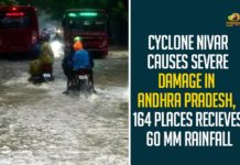 Cyclone Nivar Causes Severe Damage In Andhra Pradesh, 164 Places Recieves 60 mm Rainfall