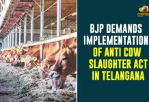 BJP Demands Implementation Of Anti Cow Slaughter Act In Telangana,Bharatiya Janata Party,BJP,Telangana,BJP Demands Implementation Of Anti Cow Slaughter Act,Anti Cow Slaughter Act In Telangana,Anti Cow Slaughter Act,Mango News,BJP Workers Demand Implementation Of Anti Cow Slaughter Act,BJP Seeks Anti Cow Slaughter Law In Telangana,BJP Unit In Telangana,BJP Demands Anti Cow Slaughter Law In Telangana,Anti Cow Slaughter Law,Anti Cow Slaughter Act News,BJP Demands Implementation Of Anti Cow Slaughter Law In Telangana,BJP On Anti Cow Slaughter Act In Telangana