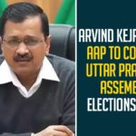Arvind Kejriwal’s AAP To Contest Uttar Pradesh Assembly Elections 2022,Arvind Kejriwal,Aam Aadmi Party,Uttar Pradesh News,Arvind Kejriwal Interview,Uttar Pradesh Election 2022 Opinion Poll,Uttar Pradesh Assembly Election 2022,Kejriwal On Up Elections,Up Election 2022 Opinion Poll,Uttar Pradesh Elections In 2022,UP Election Fight,UP Election,AAP To Contest 2022 Uttar Pradesh Assembly Elections Says Arvind Kejriwal,AAP To Contest Uttar Pradesh Assembly Election 2022,Arvind Kejriwal New Announcement,AAP To Contest Uttar Pradesh Polls In 2022 Says Arvind Kejriwal,Mango News