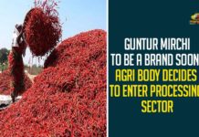 Guntur Mirchi To Be A Brand Soon,Agri Body Decides To Enter Processing Sector,Guntur Mirchi,Guntur Chilli To Have Its Own Brand,Guntur Chilli To Be A Brand Soon,Guntur,Guntur City,Guntur News,Mango News,Guntur District,Andhra Pradesh,AP,Guntur Agri Committee Branches Out Into Chilli Powder Processing,Guntur Agri Committee Branches,Chilli Powder Processing,Guntur Chilli Powder Processing,Andhra Pradesh State Cooperative Marketing Federation,Guntur Chillies As A New Brand In India,Guntur Mirchi Yard Chairman,Guntur Mirchi Brand,Guntur Chilli Brand