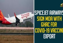 SpiceJet Airways Sign MOA With GHAC For COVID-19 Vaccine Export,Spicejet Ties Up With GMR Hyderabad Air Cargo For Storage,Delivery Of COVID-19 Vaccine,Spicejet Ties-up With Hyd Airport For Covid Vaccine Storage,Spicejet Ties-up With Gmr Hyderabad Air Cargo For Seamless Service Of COVID-19 Vaccine,Mango News,COVID-19,GHAC,COVID-19 Vaccine,MOA,Mango News,SpiceJet Airways Sign MOA With GHAC,SpiceJet,GHAC,COVID-19 Vaccine Export,SpiceJet Airways Sign MOA With GHAC,COVID-19 News,SpiceJet Airways,SpiceJet Airways Latest News