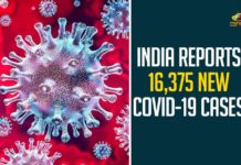 Coronavirus Cases, coronavirus cases in india state wise, coronavirus cases in india today state wise, coronavirus cases india, coronavirus india, India Coronavirus, India Covid-19 Updates, New Confirmed Corona Cases, total corona cases in india today, total corona positive in india,mango news