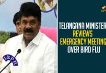 Bird Flu, Bird Flu Cases, bird flu in Bengaluru, Bird Flu in Telangana, Bird Flu Outbreak, Centre confirms bird flu, Centre Confirms Bird Flu Cases, Centre confirms bird flu outbreak, Centre confirms bird flu strain, Centre Confirms Outbreak Of Bird Flu, Mango News Telugu, Minister Talasani Srinivas Yadav, Outbreak Of Bird Flu, talasani srinivas yadav, Talasani Srinivas Yadav Says There are no Signs of Bird Flu, There are no Signs of Bird Flu in Telangana