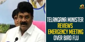 Bird Flu, Bird Flu Cases, bird flu in Bengaluru, Bird Flu in Telangana, Bird Flu Outbreak, Centre confirms bird flu, Centre Confirms Bird Flu Cases, Centre confirms bird flu outbreak, Centre confirms bird flu strain, Centre Confirms Outbreak Of Bird Flu, Mango News Telugu, Minister Talasani Srinivas Yadav, Outbreak Of Bird Flu, talasani srinivas yadav, Talasani Srinivas Yadav Says There are no Signs of Bird Flu, There are no Signs of Bird Flu in Telangana