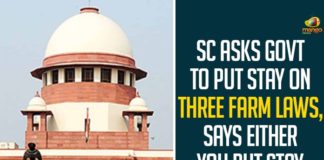 Centre to put stay on implementation of farm laws, Farmers Protest, Farmers Protest Live, Farmers Protest Live News Updates, Farmers Protest News, Mango News, SC Asks GoI To Put Stay On Three Farm Laws, SC says it intends to stay farm laws, SC tells government to stay farm laws, Stay implementation of farm laws, Three Farm Laws