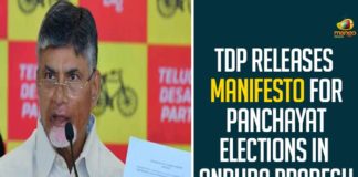 TDP Releases Manifesto For Panchayat Elections In Andhra Pradesh