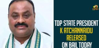 TDP State President K Atchannaidu Released On Bail Today