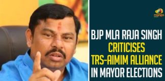 BJP MLA Raja Singh Criticises TRS-AIMIM Alliance In Mayor Elections,Mango News,BJP MLA Raja Singh Criticized TRS-AIMIM Alliance In Mayor Elections,BJP MLA Raja Singh Reaction on GHMC Mayor Elections,Raja Singh Fires on MIM and TRS,Raja singh lashes out at TRS - MIM parties,BJP MLA Raja Singh Reaction On GHMC Mayor Elections,Raja Singh Fires On MIM And TRS