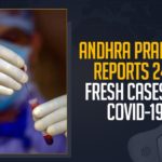 Andhra Pradesh Reports 246 Fresh Cases Of COVID-19