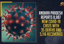 Andhra Pradesh, Andhra Pradesh COVID-19 Daily Bulletin, Andhra Pradesh Department of Health, ap coronavirus cases today, ap coronavirus cases total, ap coronavirus updates district wise, AP COVID 19 Cases, AP Total Positive Cases, COVID-19, COVID-19 Daily Bulletin, Total Corona Cases In AP,mango news