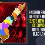 Andhra Pradesh Reports Highest 18972, Andhra Pradesh New Cases Of COVID-19, Andhra Pradesh Total Surges 11.63 Lakhs, Mango News, Andhra Pradesh Breaking News, Andhra Pradesh Latest Cases,Andhra Pradesh new COVID-19 cases, State Health Department, Andhra Pradesh Medical department, Andhra Pradesh Reports 18972 New Cases, COVID-19, Andhra Pradesh COVID 19, Coronavirus news Highlights, Andhra Pradesh Breaking News