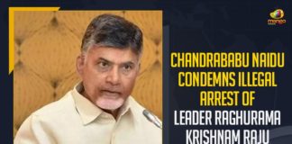 Chandrababu Naidu Condemns Illegal Arrest Of Leader Raghurama Krishnam Raju, Mango News, Latest Breaking News 2021, Andhra Pradesh covid cases,coronavirus patients in Andhra, Andhra Pradesh MP Raghurama Krishnam Raju,MP Raghurama Krishnam Raju, AP High Court, AP High Court Dismisses Bail Plea Of Andhra, Central Investigation Department, MP Raghurama Krishnam Raju Arrest
