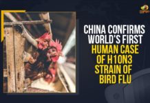 China Confirms World’s First Human Case Of H10N3 Strain Of Bird Flu Bird Flu, bird flu strain, China Bird Flu, China Bird Flu Case, China Bird Flu Hunam, China confirms first human case of bird flu, China confirms first human case of bird flu strain, China confirms first human case of H10N3 bird flu, China confirms first human case of H10N3 bird flu strain, China Confirms World’s First Human Case Of H10N3 Strain, China Confirms World’s First Human Case Of H10N3 Strain Of Bird Flu, China reports first case of human infection with H10N3 strain, China reports first human case of bird flu, Mango News, World’s First Human Case Of H10N3 Strain Of Bird Flu