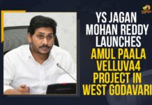 YS Jagan Mohan Reddy Launches Amul Paala Velluva Project In West Godavari Amul Paala Velluva Project, Amul Paala Velluva Project In West Godavari, Amul Paala Veluva, Amul Paala Veluva project lauch, Andhra Pradesh Government, dairy sector in Andhra Pradesh, development project, Mango News, West Godavari, ys jagan mohan reddy, YS Jagan Mohan Reddy Launches Amul Paala Velluva Project, YS Jagan Mohan Reddy Launches Amul Paala Velluva Project In West Godavari, YS Jagan reviews on Amul project