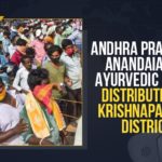 Anandaiah Ayurvedic Medicine, Anandaiah Ayurvedic Medicine Distribution, Anandaiah’s Ayurvedic Being Distributed, Anandaiah’s Ayurvedic Being Distributed At Krishnapatnam District, Anandaiah’s Ayurvedic medicine, Andhra declares Anandaiah medicine safe, Andhra declares Krishnapatnam medicine safe, andhra pradesh, Krishnapatnam, Krishnapatnam Ayurvedic Medicine, Krishnapatnam Ayurvedic Medicine Efficacy, Krishnapatnam District, Krishnapatnam medicine safe, Mango News