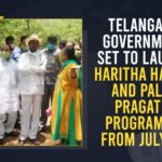 Haritha Haaram Program, Haritha Haaram Programs Starts, Mango News, Palle and Pattana Pragathi Programmes, Palle Pragathi, Palle Pragathi Programme, Palle Pragathi Programme Guidelines, Pattana Pragathi, Pattana Pragathi Guidelines, Pattana Pragathi Programme, Pattana Pragathi Programme Guidelines, pattana pragathi telangana, Telangana Palle Pattana Pragathi, Telangana Palle Pattana Pragathi Haritha Haaram Programs Starts From July 1st, Telangana Palle Pragathi Programme, Telangana Pattana Pragathi Programme