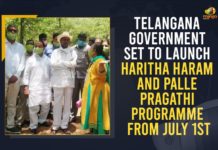 Haritha Haaram Program, Haritha Haaram Programs Starts, Mango News, Palle and Pattana Pragathi Programmes, Palle Pragathi, Palle Pragathi Programme, Palle Pragathi Programme Guidelines, Pattana Pragathi, Pattana Pragathi Guidelines, Pattana Pragathi Programme, Pattana Pragathi Programme Guidelines, pattana pragathi telangana, Telangana Palle Pattana Pragathi, Telangana Palle Pattana Pragathi Haritha Haaram Programs Starts From July 1st, Telangana Palle Pragathi Programme, Telangana Pattana Pragathi Programme