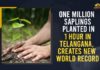 : One Million Saplings Planted In 1 Hour, 1 million saplings in 1 hour, Adilabad Rural Bela mandal, Durganagar, Durganagar Haritha Vanam, Green India Challenge, Green India Challenge programme, Haritha Vanam, Mango News, One Million Saplings Planted In 1 Hour In Telangana, Telangan, Telangana, Telangana Green India Challenge, Telangana Green India Challenge plants one million trees, Telangana Rashtra Samithi, Telangana Record one million saplings planted in one hour