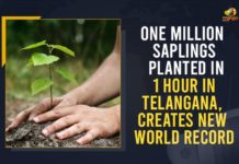 Telangana: Telangana: One Million Saplings Planted In 1 Hour Creates New World Record : One Million Saplings Planted In 1 Hour, 1 million saplings in 1 hour, Adilabad Rural Bela mandal, Durganagar, Durganagar Haritha Vanam, Green India Challenge, Green India Challenge programme, Haritha Vanam, Mango News, One Million Saplings Planted In 1 Hour In Telangana, Telangan, Telangana, Telangana Green India Challenge, Telangana Green India Challenge plants one million trees, Telangana Rashtra Samithi, Telangana Record one million saplings planted in one hour
