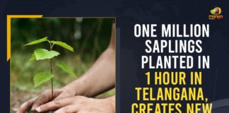 : One Million Saplings Planted In 1 Hour, 1 million saplings in 1 hour, Adilabad Rural Bela mandal, Durganagar, Durganagar Haritha Vanam, Green India Challenge, Green India Challenge programme, Haritha Vanam, Mango News, One Million Saplings Planted In 1 Hour In Telangana, Telangan, Telangana, Telangana Green India Challenge, Telangana Green India Challenge plants one million trees, Telangana Rashtra Samithi, Telangana Record one million saplings planted in one hour