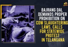 Anti Cow Slaughter Act, Bajrang Dal Demands Proper Prohibition On Cow Slaughtering Laws, Bajrang Dal in Telangana, Calls For Statewide Protest, Calls For Statewide Protest In Telangana, cattle/beef smuggling, Cow Slaughter, Cow slaughtering, Cow Slaughtering Laws, Mango News, proper laws against cow slaughtering, Telangana, Telangana Bajrang Dal unit, Telangana State Bajrang Dal Convener, Telangana State Bajrang Dal Convener Subhash Chander