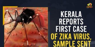 zika virus is spread by, zika virus in india , zika virus symptoms and treatment, diagnosis of zika virus, zika virus symptoms baby, zika virus deaths, zika virus and pregnancy, zika virus treatment