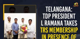 Mango News, Minister KTR, Ruling Government, Telangana CM KCR, Telangana President L Ramana, Telangana President L Ramana To Join Ruling Government, TRS Invites TDP Telangana President L Ramana, TRS Invites TDP Telangana President L Ramana Join Ruling Government, TRS Party Primary Membership, TRS Party Primary Membership From Minister KTR, TTDP Former President L Ramana, TTDP Former President L Ramana Takes TRS Party Primary Membership, TTDP Former President L Ramana Takes TRS Party Primary Membership From Minister KTR
