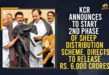 KCR Announces To Start 2nd Phase Of Sheep Distribution Scheme, Directs To Release Rs. 6,000 Crores CM KCR gives nod for second phase of sheep distribution, CM KCR Orders Minister Talasani to Start Second Phase Sheep Distribution Soon with Rs 6000 Cr, KCR gives nod for second phase of sheep distribution, KCR Orders Minister Talasani to Start Second Phase, KCR Orders Minister Talasani to Start Second Phase Sheep Distribution, Mango News, Rs 6k cr for sheep distribution, Second Phase Sheep Distribution, Telangana govt sanctions Rs 6000 crore for second phase, Telangana Second phase of sheep distribution