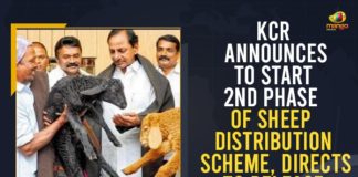 CM KCR gives nod for second phase of sheep distribution, CM KCR Orders Minister Talasani to Start Second Phase Sheep Distribution Soon with Rs 6000 Cr, KCR gives nod for second phase of sheep distribution, KCR Orders Minister Talasani to Start Second Phase, KCR Orders Minister Talasani to Start Second Phase Sheep Distribution, Mango News, Rs 6k cr for sheep distribution, Second Phase Sheep Distribution, Telangana govt sanctions Rs 6000 crore for second phase, Telangana Second phase of sheep distribution