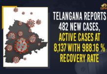 Telangana Reports 482 New Cases, Active Cases At 8,137 With 988.16 % Recovery Rate Coronavirus, COVID-19, Covid-19 Updates in Telangana, telangana corona district wise cases, telangana coronavirus cases district wise, telangana coronavirus cases today, telangana coronavirus cases today district wise, telangana coronavirus district wise, telangana coronavirus district wise List, Telangana Coronavirus News, telangana covid cases today bulletin, telangana covid cases today list,mango news