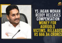 Agrigold, Agrigold Depositors, AgriGold depositors compensation, AgriGold depositors to get compensation, Agrigold victims, Andhra Pradesh Breaking News, Andhra Pradesh CM to clear dues of Agrigold, Cheques To Agrigold Victims, CM Jagan, CM Jagan Released Rs 666.84 Cr to More than 7 Lakh Agrigold Depositors, CM Jagan Released Rs 666.84 Cr to More than 7 Lakh Agrigold Depositors Under Second Phase Today, Mango News