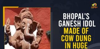 Bhopal Artist Makes Eco-Friendly Ganesh Idols, Bhopal Artist Makes Eco-Friendly Ganesh Idols With Cow Dung, Bhopal’s Ganesh Idol Made Of Cow Dung, Bhopal’s Ganesh Idol Made Of Cow Dung In Huge Demand, Eco-Friendly Ganesh Idols With Cow Dung, Ganesh Chaturthi, Ganesh Chaturthi 2021, Ganesh Idol Made Of Cow Dung, Ganesha Idols Made From Cow Dung, Mango News