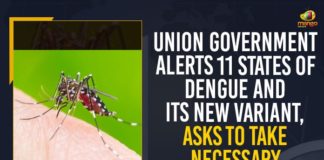 Alert issued after dengue-causing viruses found, Dengue, Dengue Alert In Inida, Dengue Alert In Telangana, Dengue fever, Dengue variant DENV-2 not new to Kerala, majority of dengue cases were registered in Khammam district, Mango News, mosquito borne Dengue, Union Government, Union Government Alerts 11 States Of Dengue, Union Government Alerts 11 States Of Dengue And Its New Variant, Union Ministry of Health and Family Welfare